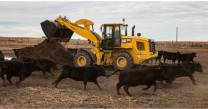 Cat 930M with cattle