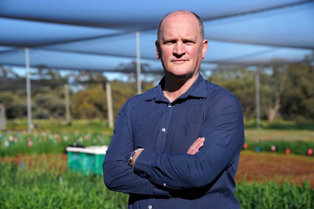 Jonathan Wilson, CEO grains australia limited
