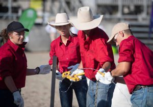 Australian Young Farmer Challenge