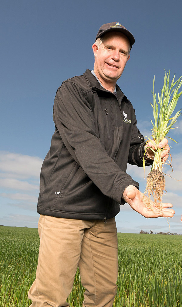 seeding frost risk